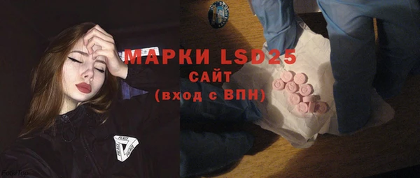 хмурый Вяземский