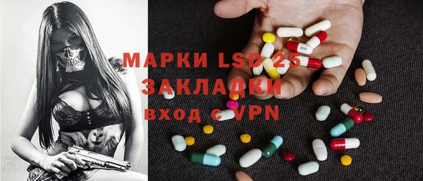 хмурый Вяземский