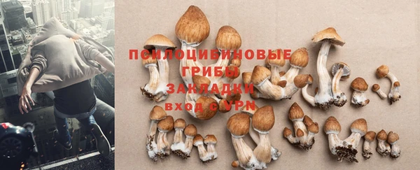 хмурый Вяземский