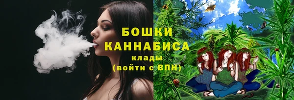 хмурый Вяземский