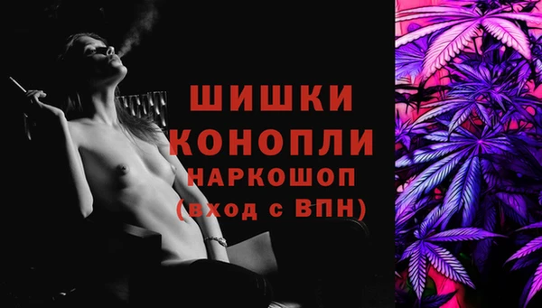 хмурый Вяземский